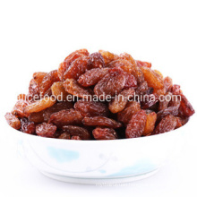 Hot Sale Bulk Packing Dried Sultana Raisin China Red Raisins